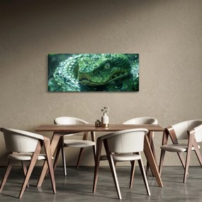 Kép - Egy kígyó portréja (120x50 cm)