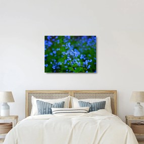 A kék virágok képe (üvegen) (70x50 cm)