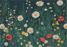 Flizelin tapéta falra Prémium Mezei virágok 208x146 Ragasztó