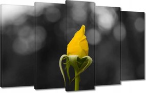 Vászonkép 100x60 Sárga rózsa