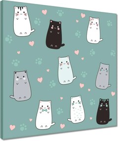 Vászonkép 40x40 Cica Cicák Macskák