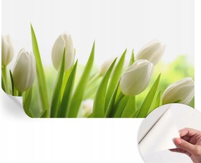 Dekoratív Öntapadós Tapéta Divatos Minták Fehér tulipánok 416x254 cm