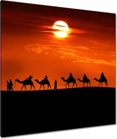Vászonkép 90x90 Karaván a sivatagban