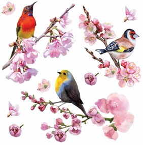 Birds öntapadó dekoráció, 30 x 30 cm