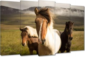 Vászonkép 150x95 Vad lovak