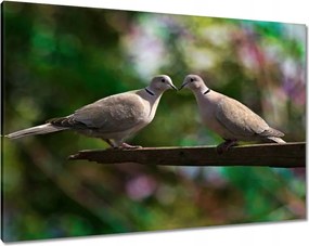 Vászonkép 100x70 Szerelem Érzés Párkapcsolat