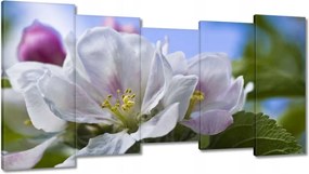 Vászonkép 150x80 Almafa virág