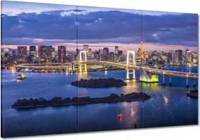 Képek 120x80 Szivárványhíd Tokióban