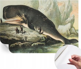 Prémium fali öntapadós fotótapéta Tengeri óriás 104x70 cm