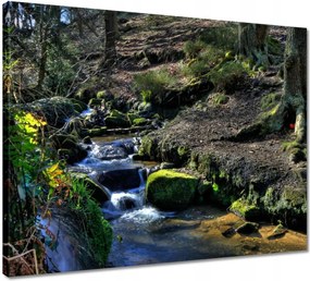 Våszonkép 50x40 Hegyi patak