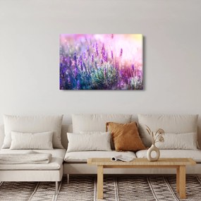 Kép - Levendula a csillogó napban (90x60 cm)
