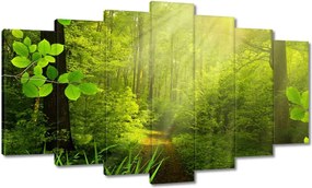 Festmények 140x80 Varázslatos erdő Tájkép