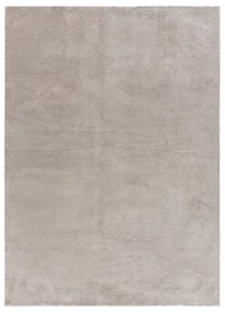 Világosszürke szőnyeg 140x200 cm Loft – Universal