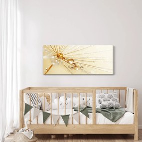 Kép - Makro fotó pitypangról (120x50 cm)