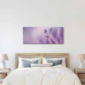 Kép - Lila pillangók (120x50 cm)