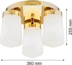 Argon PASADENA 6165 Süllyesztett mennyezeti lámpa 3x15W/E27 IP44