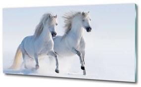 Üvegkép Két ló a hóban osh-46568530
