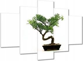 Festmények 150x105 Bonzai fa