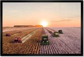 Poszterek keretben 60x40 Aratás Mezőgazdaság Kombájn
