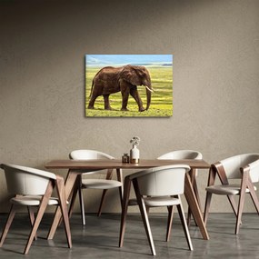 Egy elefánt képe (70x50 cm)