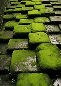 Poszter 21x29,7cm Zöld Mozaik