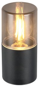 Kültéri lámpa (magasság 17,5 cm) Hoosic – Trio