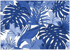 Poszterek 70x50 Classic Blue Monstera