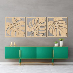 Természetes monstera faldekoráció | SELERE