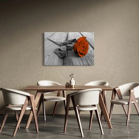 Kép - Narancs Rózsa (90x60 cm)
