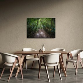 Kép - Napsugarak a dzsungelben (üvegen) (70x50 cm)