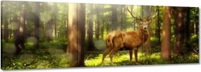 Vászonkép 60x20 Szarvas a varázslatos erdőben