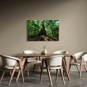 Kép - A fa gyökerei (90x60 cm)