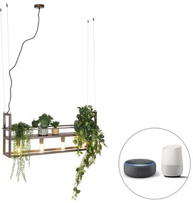 Okos lógólámpa rozsdabarna polccal, 4 db Wifi A60 izzóval - Cage Rack