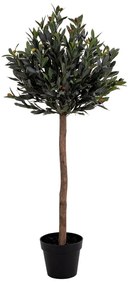 Mű olajfa, magasság 120 cm - House Nordic