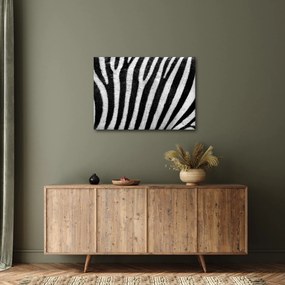 Kép egy zebra bőrről (70x50 cm)