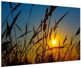 Kép - naplemente a réten (90x60 cm)