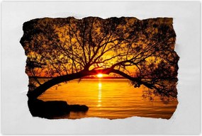 Poszterek 90x60 Tengerpart Fa Tenger