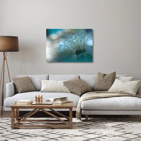 Kép - Pitypang - kerozin (üvegen) (70x50 cm)