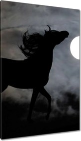 Vászonkép 80x120 Éjszakai paripa