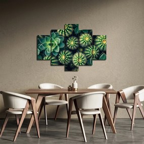 Kép - Kaktuszok (150x105 cm)