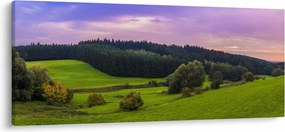 Rét képe (120x50 cm)