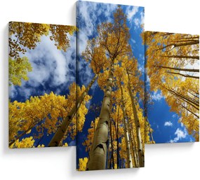 Kép - Aspen (90x60 cm)