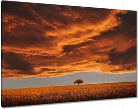 Vászonkép 100x70 Narancssárga égbolt