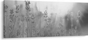 Kép - Levendula (120x50 cm)