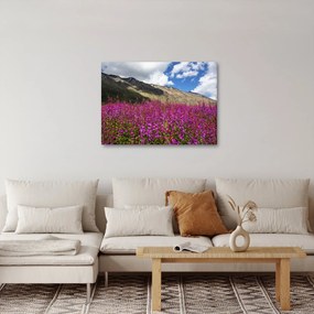Hegyi rét tája (70x50 cm)