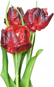 papagájok Gumi tulipánok bordó piros szilikon csokor tulipán csokor