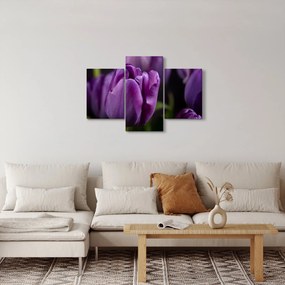 Tulipán vírág képe (90x60 cm)