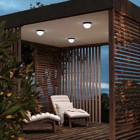 Maytoni Mon O438CL-L12GF3K 1x12W/LED 3000K 1100lm IP65
