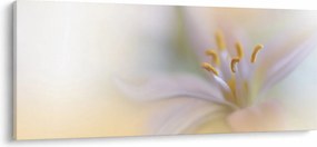 Kép - Gyengéd virág (120x50 cm)