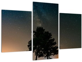 Egy éjszakai égbolt fákkal képe (90x60 cm)